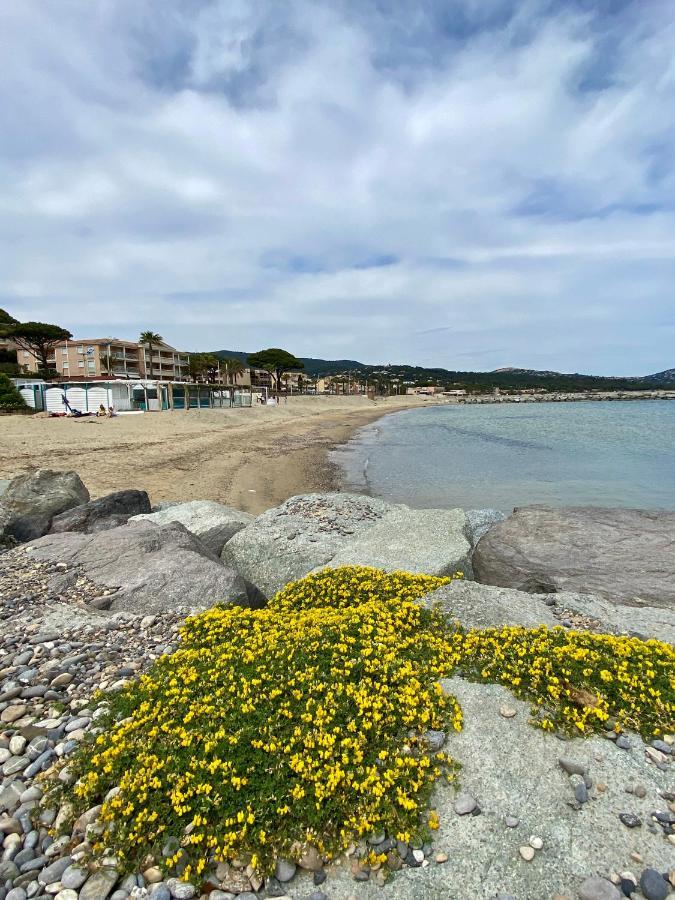 Studio 150 M De Plage Golfe De Saint-Tropez Cavalaire-sur-Mer Zewnętrze zdjęcie